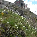 Rifugio Garibaldi מלון *