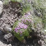 Rifugio Garibaldi מעבר סטלביו